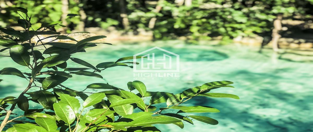Foto de terreno habitacional en venta en  , playa del carmen, solidaridad, quintana roo, 30038634 No. 03