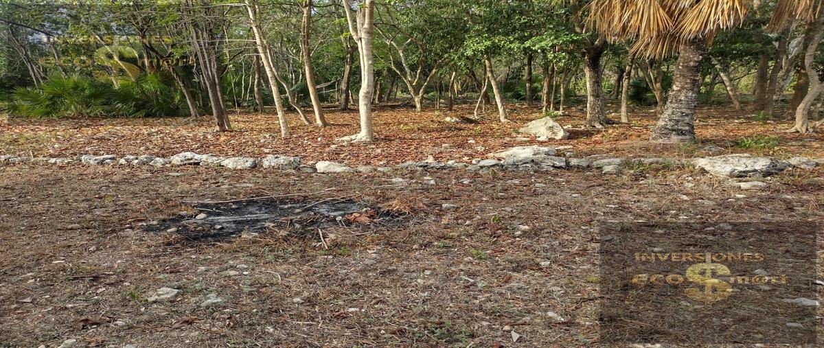 Foto de terreno habitacional en venta en  , playa del carmen, solidaridad, quintana roo, 30058184 No. 04