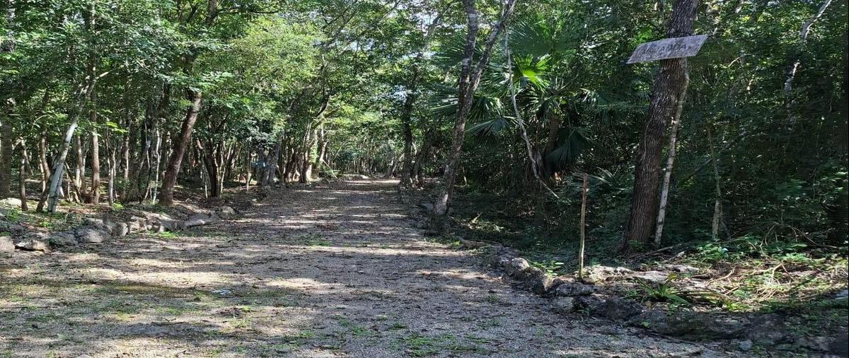 Foto de terreno habitacional en venta en  , playa del carmen, solidaridad, quintana roo, 30192547 No. 03