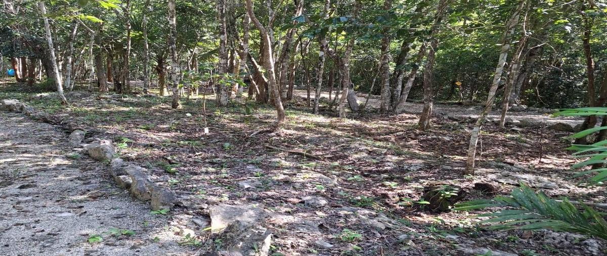 Foto de terreno habitacional en venta en  , playa del carmen, solidaridad, quintana roo, 30192547 No. 05