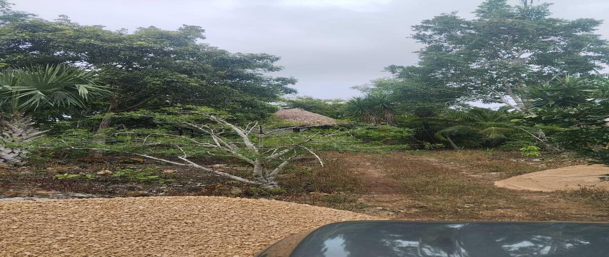 Foto de terreno habitacional en venta en  , playa del carmen, solidaridad, quintana roo, 0 No. 05