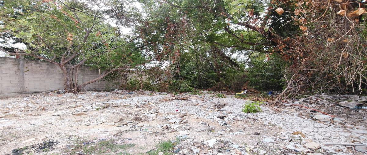 Foto de terreno habitacional en venta en  , playa del carmen, solidaridad, quintana roo, 30348354 No. 03