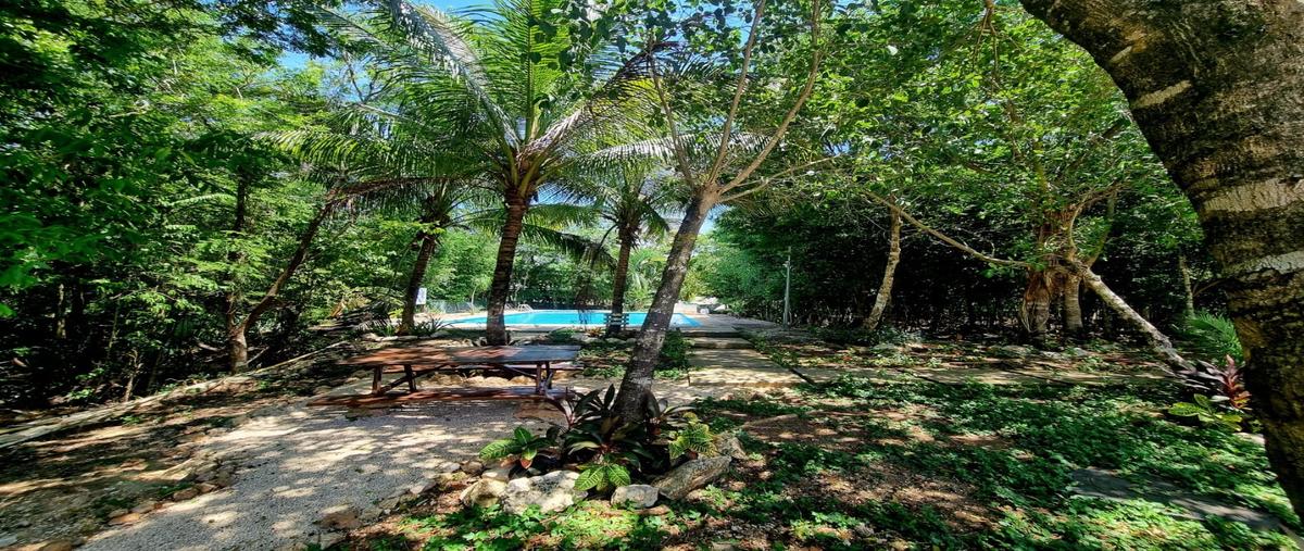 Foto de casa en venta en  , playa del carmen, solidaridad, quintana roo, 30367089 No. 04