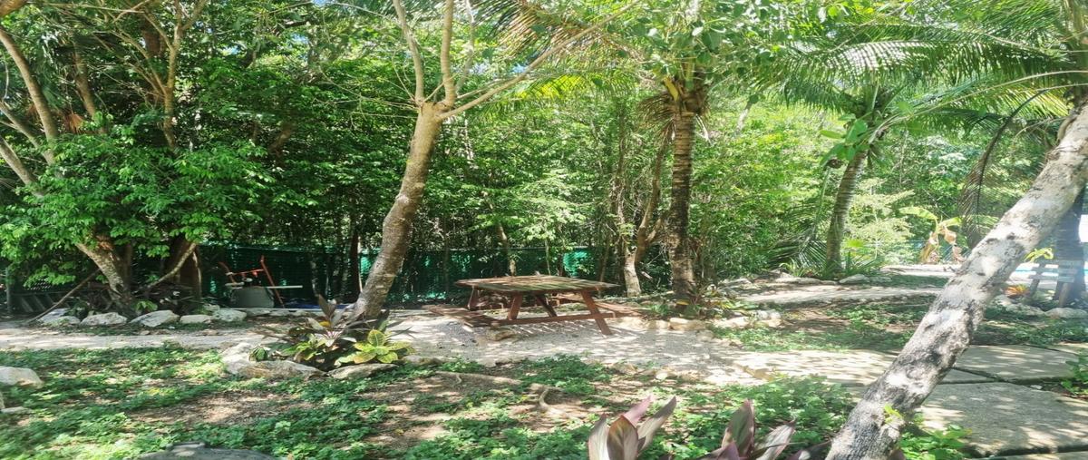 Foto de casa en venta en  , playa del carmen, solidaridad, quintana roo, 30367089 No. 05