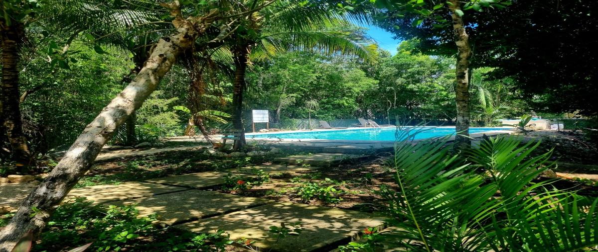 Foto de casa en venta en  , playa del carmen, solidaridad, quintana roo, 30367089 No. 06