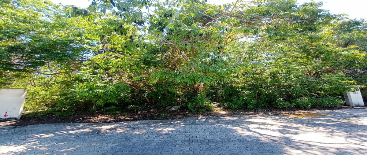 Foto de terreno habitacional en venta en  , playa del carmen, solidaridad, quintana roo, 30394339 No. 04