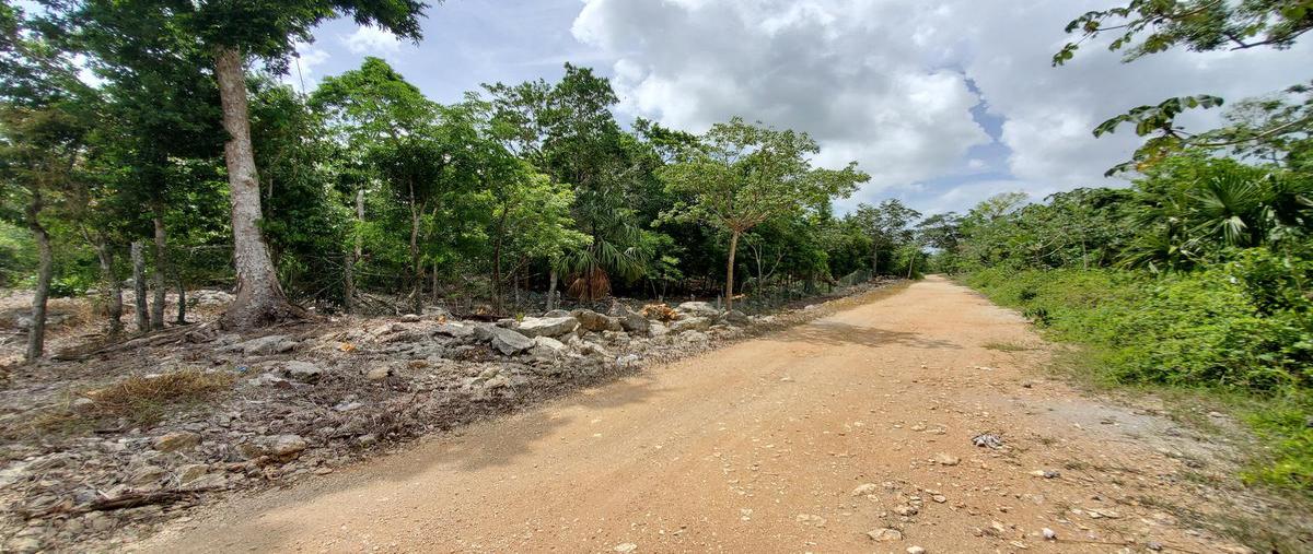 Foto de terreno habitacional en , playa del carmen, solidaridad, quintana roo, 30401120 foto 02 Foto de terreno habitacional en venta en , playa del carmen, solidaridad, quintana roo, 30401120 No. 02
