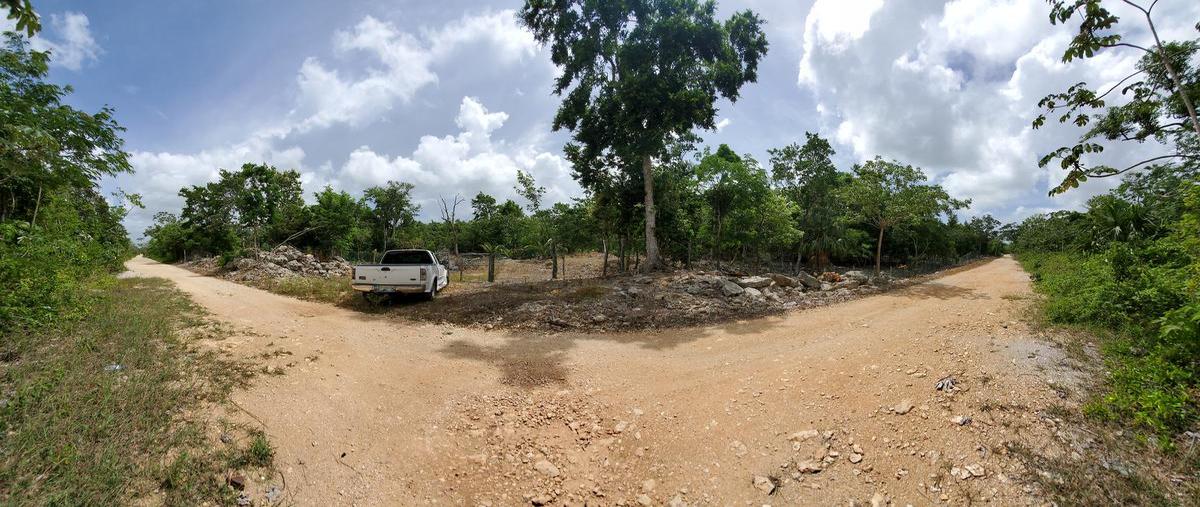 Foto de terreno habitacional en , playa del carmen, solidaridad, quintana roo, 30401120 foto 03 Foto de terreno habitacional en venta en , playa del carmen, solidaridad, quintana roo, 30401120 No. 03