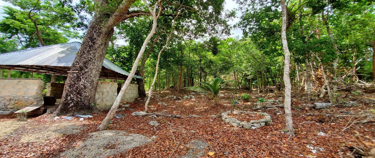 Foto de terreno habitacional en , playa del carmen, solidaridad, quintana roo, 0 foto 05 Foto de terreno habitacional en venta en , playa del carmen, solidaridad, quintana roo, 0 No. 05
