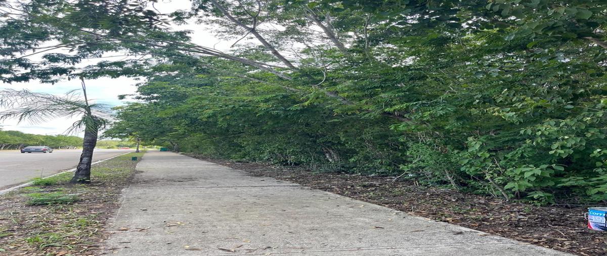 Foto de terreno habitacional en venta en  , playa del carmen, solidaridad, quintana roo, 0 No. 04