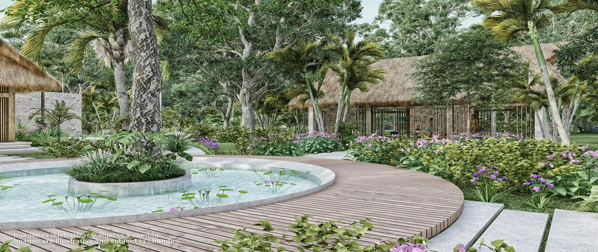 Foto de casa en venta en  , playa del carmen, solidaridad, quintana roo, 0 No. 05