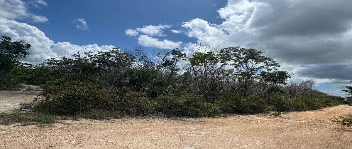 Foto de terreno habitacional en venta en  , playa del carmen, solidaridad, quintana roo, 30628162 No. 03