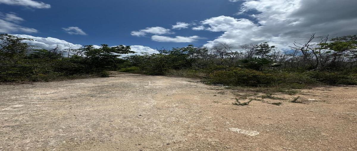 Foto de terreno habitacional en venta en  , playa del carmen, solidaridad, quintana roo, 30628162 No. 04