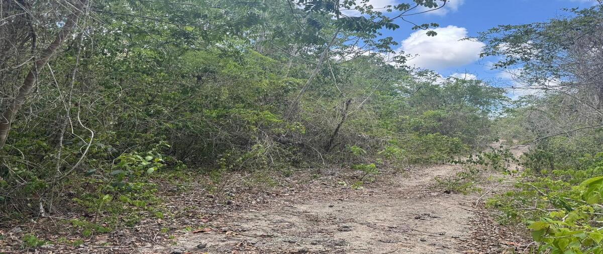 Foto de terreno habitacional en venta en  , playa del carmen, solidaridad, quintana roo, 30628162 No. 05