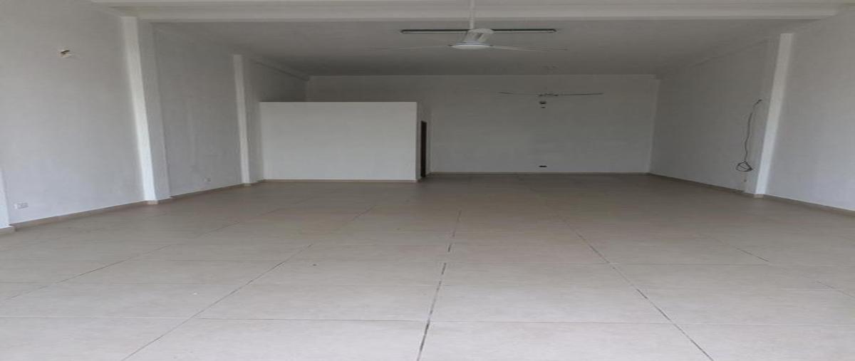Foto de local en renta en  , playa del carmen, solidaridad, quintana roo, 0 No. 05