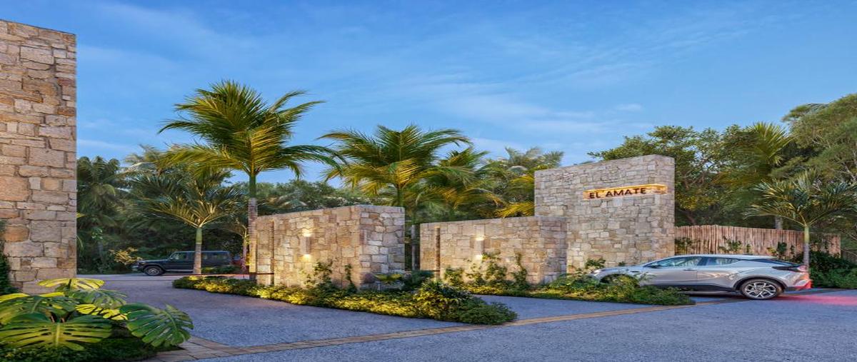 Foto de terreno habitacional en venta en  , playa del carmen, solidaridad, quintana roo, 0 No. 05