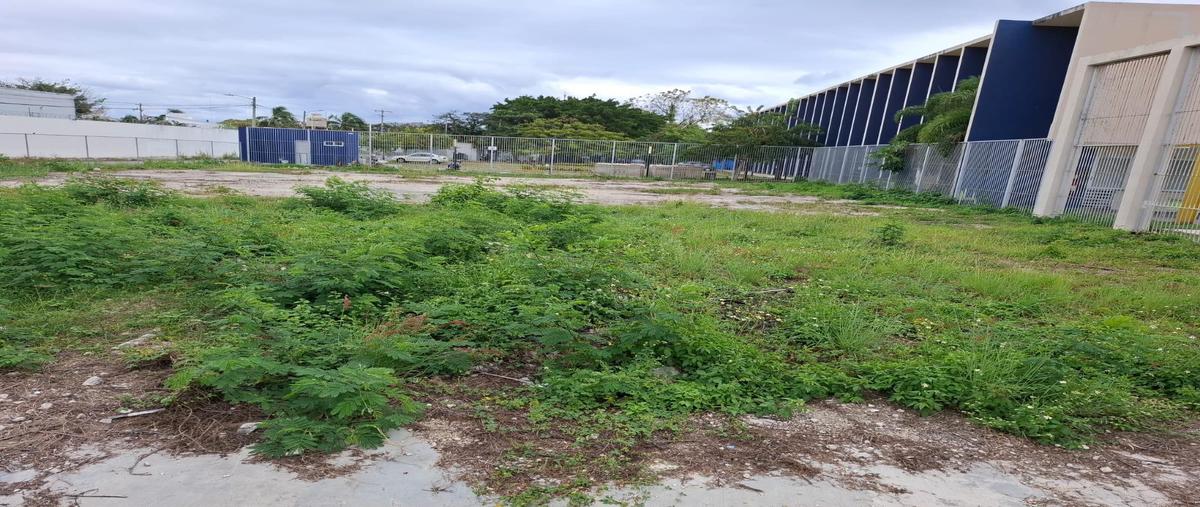 Foto de terreno habitacional en , playa del carmen, solidaridad, quintana roo, 30843040 foto 03 Foto de terreno habitacional en renta en , playa del carmen, solidaridad, quintana roo, 30843040 No. 03