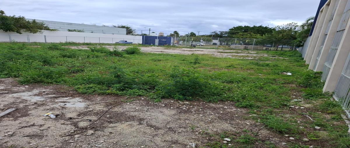 Foto de terreno habitacional en , playa del carmen, solidaridad, quintana roo, 30843040 foto 05 Foto de terreno habitacional en renta en , playa del carmen, solidaridad, quintana roo, 30843040 No. 05