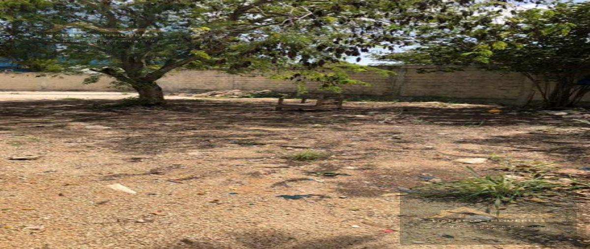 Foto de terreno habitacional en venta en  , playa del carmen, solidaridad, quintana roo, 30870759 No. 04
