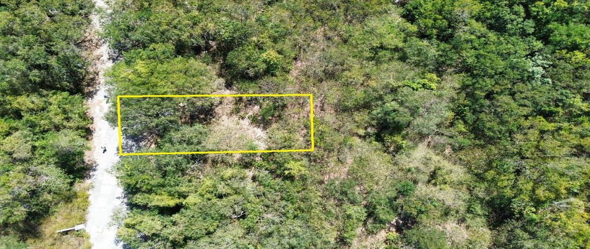 Foto de terreno habitacional en , playa del carmen, solidaridad, quintana roo, 0 foto 01 Foto de terreno habitacional en venta en , playa del carmen, solidaridad, quintana roo, 0 No. 01