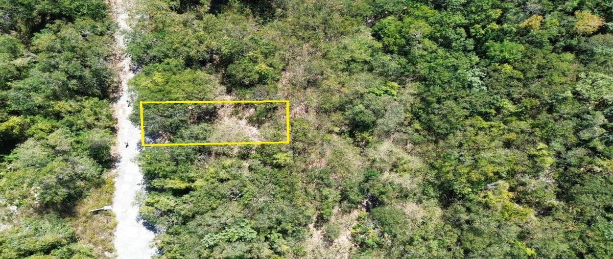 Foto de terreno habitacional en , playa del carmen, solidaridad, quintana roo, 0 foto 03 Foto de terreno habitacional en venta en , playa del carmen, solidaridad, quintana roo, 0 No. 03