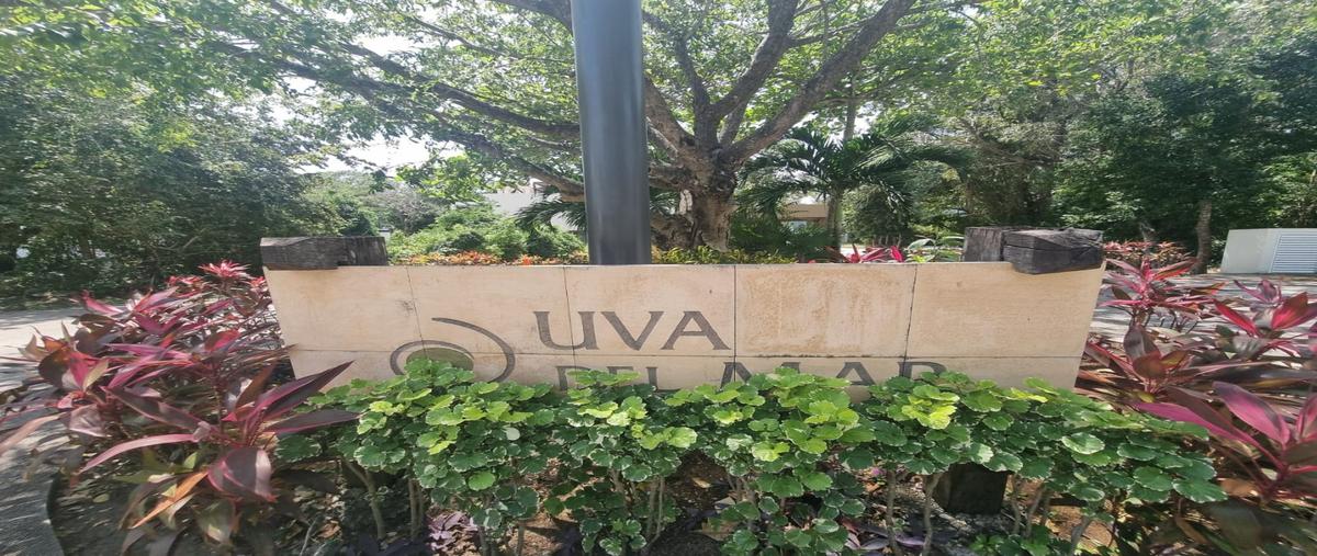 Foto de departamento en , playa del carmen, solidaridad, quintana roo, 31029415 foto 01 Foto de departamento en renta en , playa del carmen, solidaridad, quintana roo, 31029415 No. 01