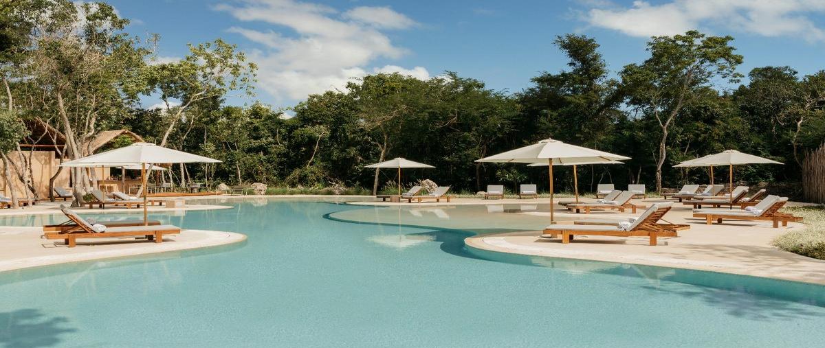 Foto de departamento en venta en  , playa del carmen, solidaridad, quintana roo, 31029791 No. 03