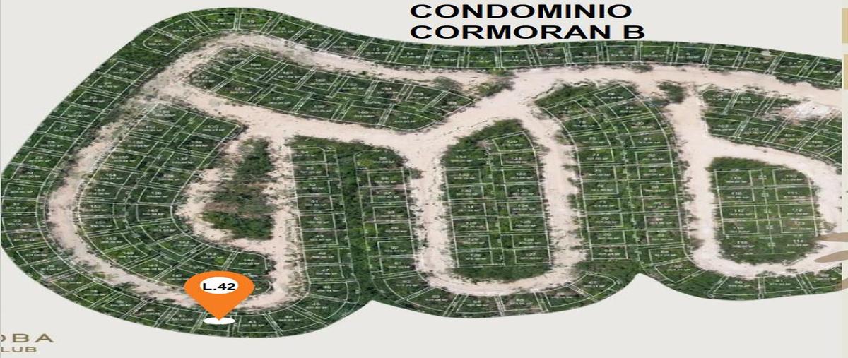 Foto de terreno habitacional en , playa del carmen, solidaridad, quintana roo, 0 foto 02 Foto de terreno habitacional en venta en , playa del carmen, solidaridad, quintana roo, 0 No. 02