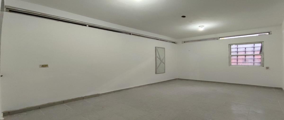 Foto de local en renta en  , playa del carmen, solidaridad, quintana roo, 0 No. 05