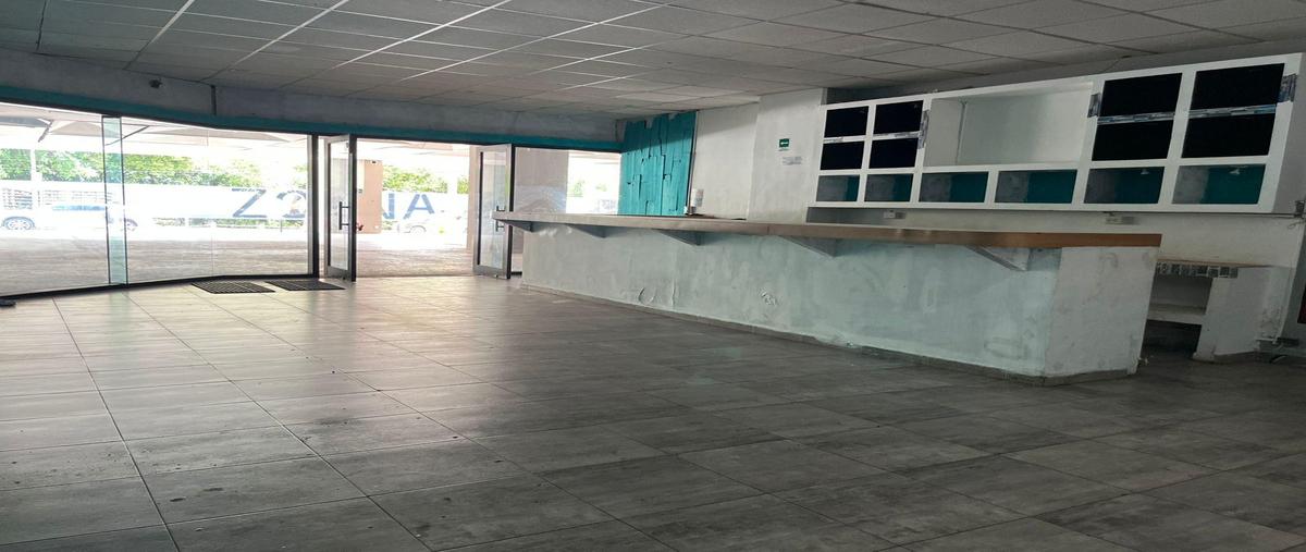 Foto de local en , playa del carmen, solidaridad, quintana roo, 31076634 foto 01 Foto de local en renta en , playa del carmen, solidaridad, quintana roo, 31076634 No. 01