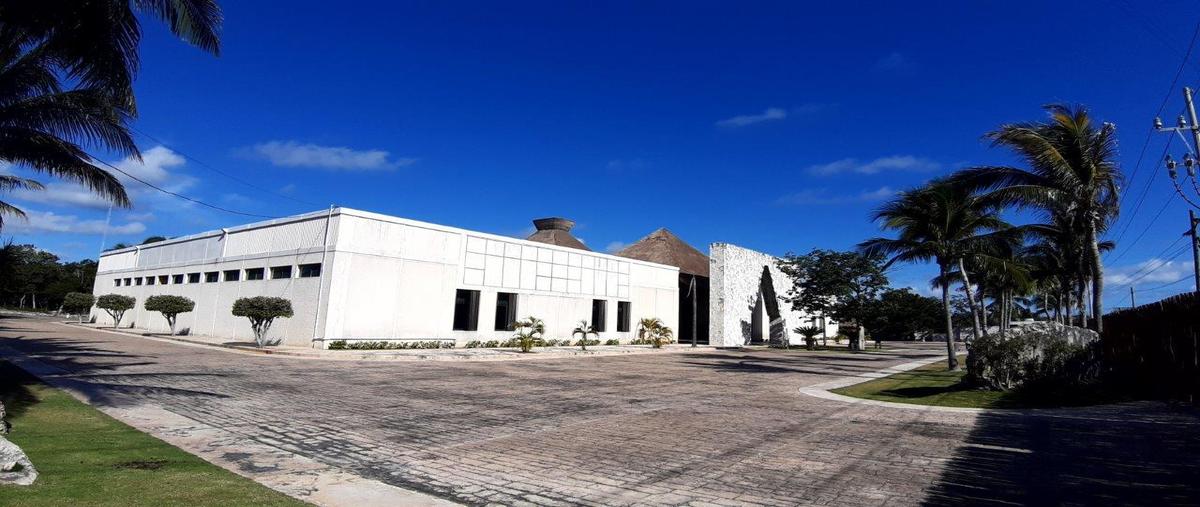 Foto de local en renta en  , playa del carmen, solidaridad, quintana roo, 0 No. 03