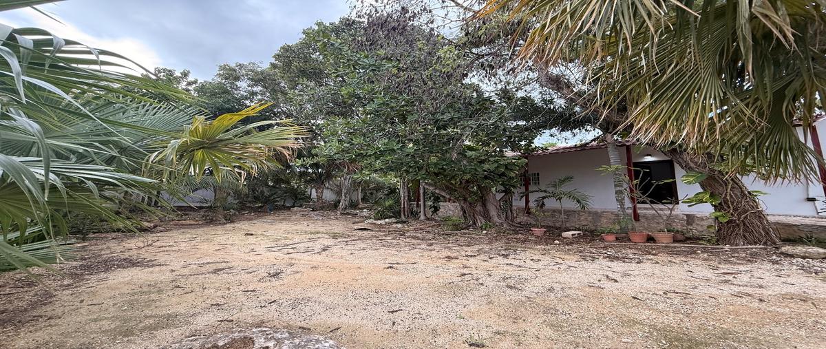 Foto de casa en renta en  , playa del carmen, solidaridad, quintana roo, 31117464 No. 05