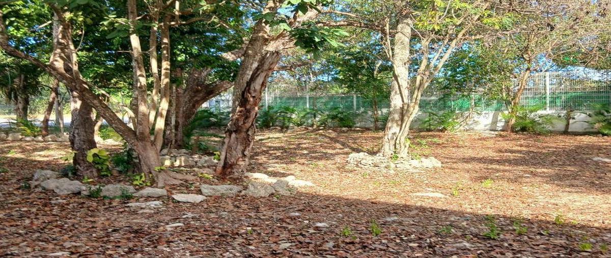 Foto de terreno habitacional en venta en  , playa del carmen, solidaridad, quintana roo, 0 No. 04