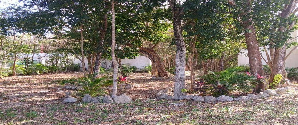 Foto de terreno habitacional en venta en  , playa del carmen, solidaridad, quintana roo, 0 No. 05