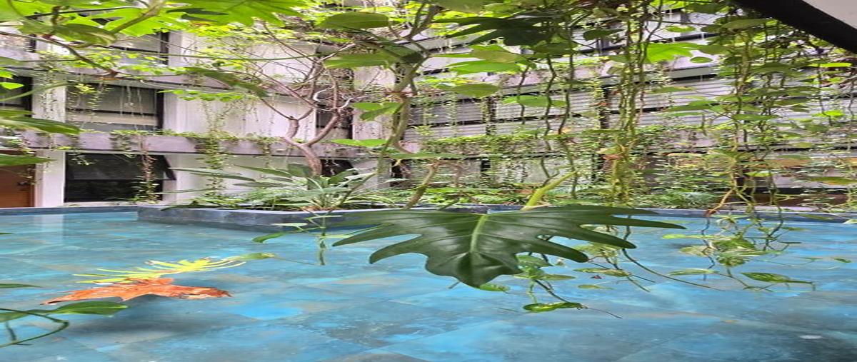 Foto de departamento en , playa del carmen, solidaridad, quintana roo, 0 foto 02 Foto de departamento en renta en , playa del carmen, solidaridad, quintana roo, 0 No. 02