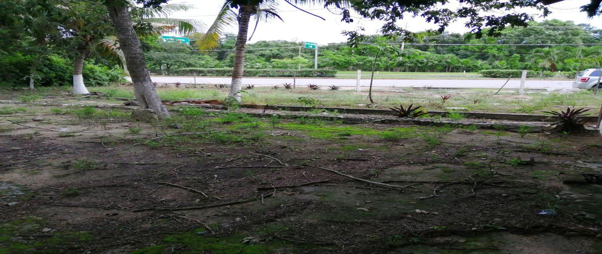 Foto de terreno habitacional en venta en  , playa del carmen, solidaridad, quintana roo, 0 No. 03