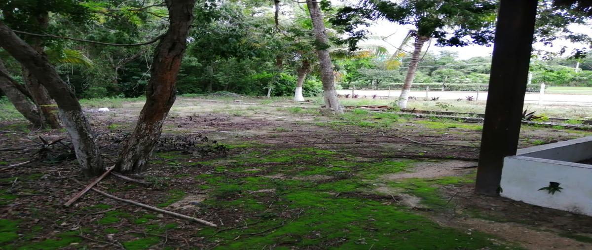 Foto de terreno habitacional en venta en  , playa del carmen, solidaridad, quintana roo, 0 No. 05