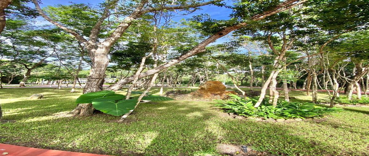 Foto de terreno habitacional en venta en  , playa del carmen, solidaridad, quintana roo, 0 No. 04