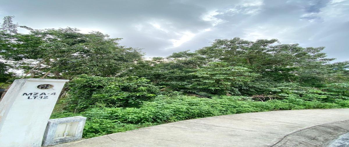 Foto de terreno habitacional en venta en  , playa del carmen, solidaridad, quintana roo, 0 No. 05