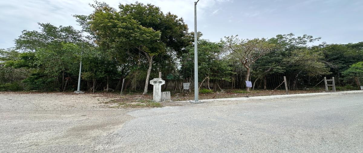 Foto de terreno habitacional en venta en  , playa del carmen, solidaridad, quintana roo, 0 No. 04