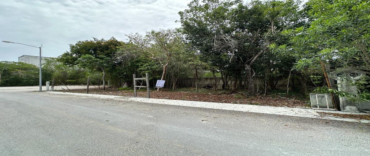 Foto de terreno habitacional en venta en  , playa del carmen, solidaridad, quintana roo, 0 No. 05