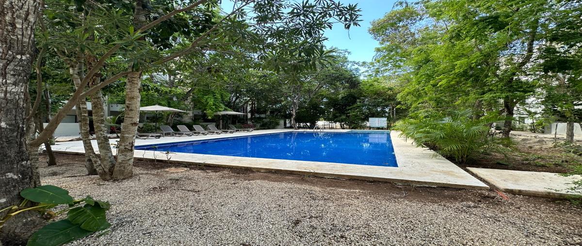 Foto de departamento en , playa del carmen, solidaridad, quintana roo, 0 foto 02 Foto de departamento en renta en , playa del carmen, solidaridad, quintana roo, 0 No. 02