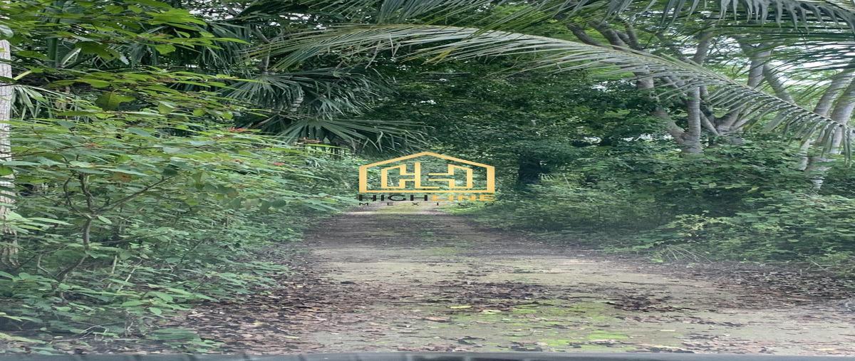 Foto de terreno habitacional en venta en  , playa del carmen, solidaridad, quintana roo, 0 No. 04