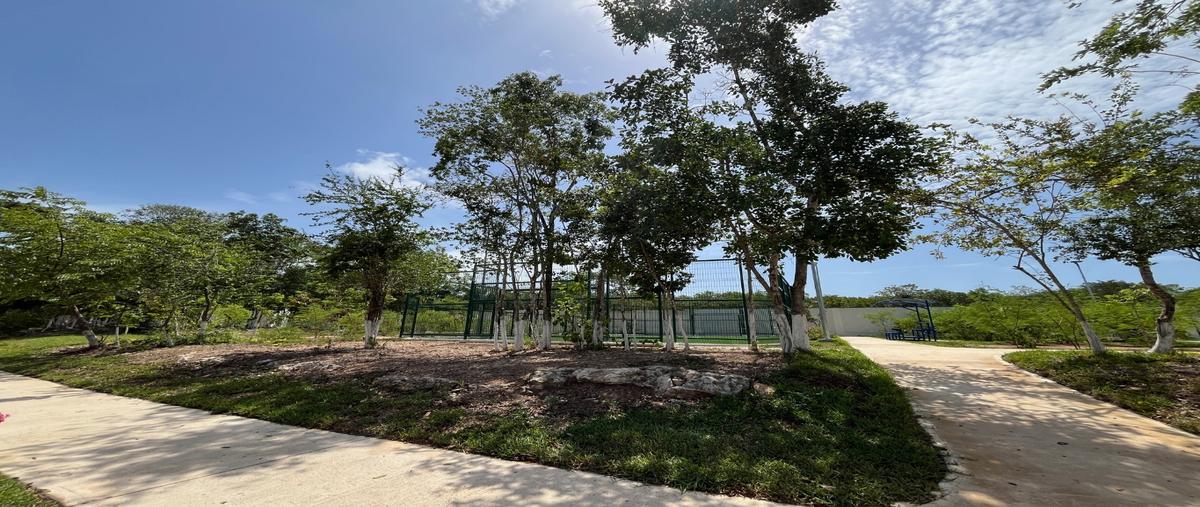 Foto de departamento en renta en  , playa del carmen, solidaridad, quintana roo, 0 No. 03