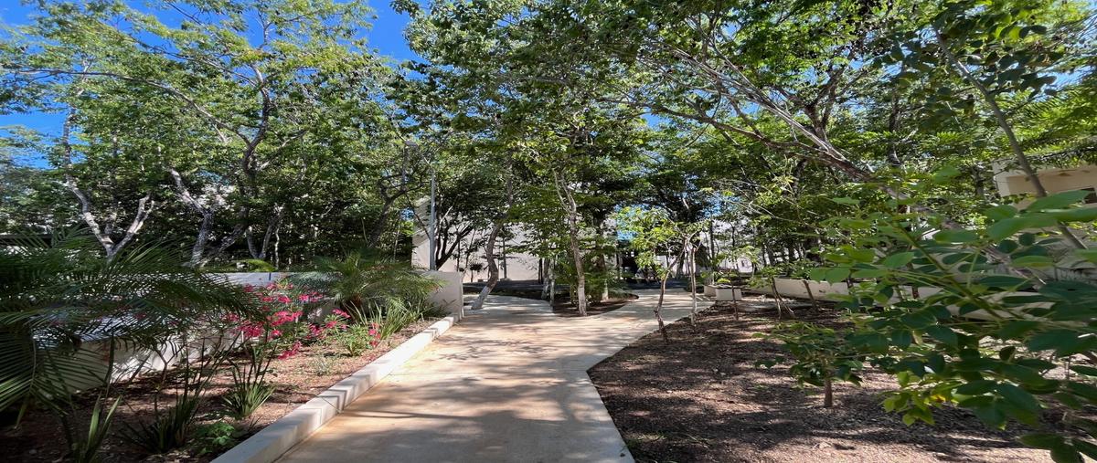 Foto de departamento en renta en  , playa del carmen, solidaridad, quintana roo, 0 No. 04