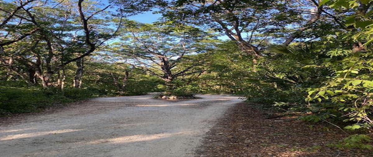 Foto de terreno habitacional en venta en  , playa del carmen, solidaridad, quintana roo, 0 No. 03