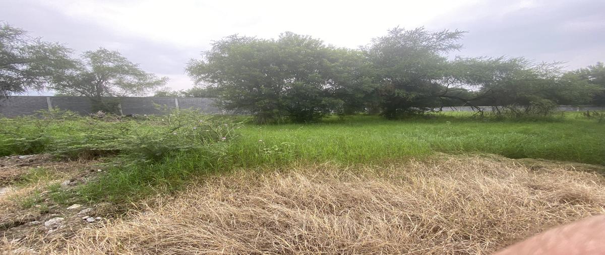 Foto de terreno habitacional en venta en playa del vergel , canoas, montemorelos, nuevo león, 29918338 No. 04