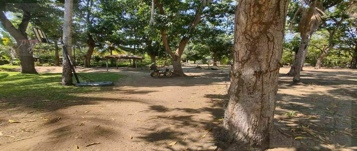 Foto de terreno habitacional en venta en  , playa diamante, acapulco de juárez, guerrero, 0 No. 03