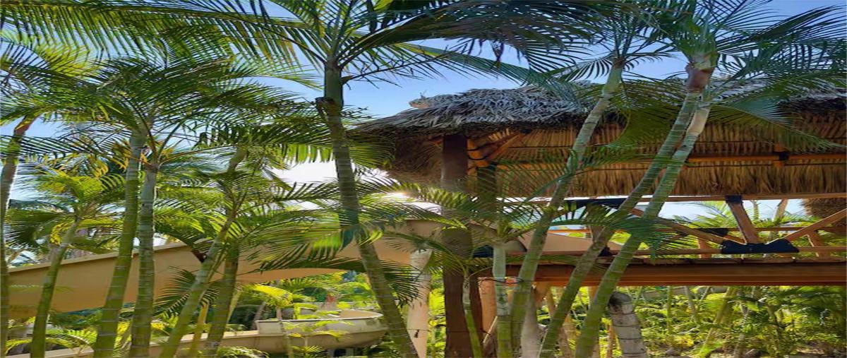 Foto de departamento en venta en  , playa diamante, acapulco de juárez, guerrero, 31438124 No. 03