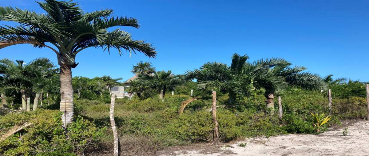 Foto de terreno habitacional en playa , el cuyo, tizimín, yucatán, 0 foto 02 Foto de terreno habitacional en venta en playa , el cuyo, tizimín, yucatán, 0 No. 02